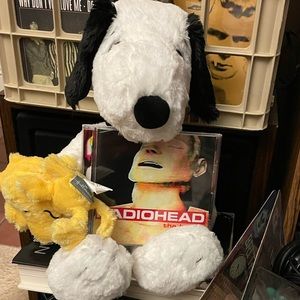 Meet your Posher, Dylan